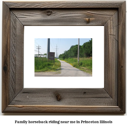 family horseback riding near me in Princeton, Illinois